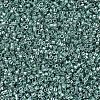 MIYUKI Delica Beads SEED-MY11-DB0416-3