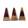 Resin & Wood Pendants WOOD-F015-03F-1