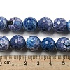 Faceted Natural Fire Crackle Agate Beads Strands G-F447-12mm-J07-5