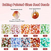 100G 10 Colors Baking Paint Glass Seed Beads SEED-TA0001-48-4