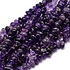 Natural Amethyst Chip Beads Strands X-G-E271-123-1