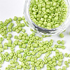 Baking Paint Glass Beads SEED-S023-11A-04-1