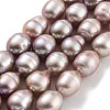 Natural Cultured Freshwater Pearl Beads Strands  PEAR-P062-13F-2