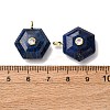 Dyed Natural Lapis Lazuli Pendants G-P588-02G-05-3
