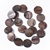 Freshwater Shell Beads Strands SHEL-T014-011-3