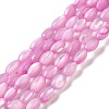 Natural Trochus Shell Beads Strands X-SHEL-K006-19A-1