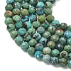 Natural HuBei Turquoise Beads Strands G-P629-A04-03-5