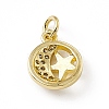 Brass Micro Pave Cubic Zirconia Charms ZIRC-F132-61G-2