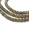 Natural Labradorite Beads Strands G-M438-A01-01-3