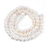 Natural Cultured Freshwater Pearl Beads Strands PEAR-N013-04A-2