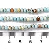 Natural Howlite Beads Strands G-H025-03C-09-5