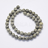 Natural Map Stone/Picasso Stone/Picasso Jasper Beads Strands G-G697-F03-6mm-2