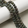Natural Green Apatite Beads Strands G-K350-C04-6mm-1