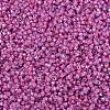 MIYUKI Delica Beads X-SEED-J020-DB2048-3