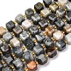Natural Eagle Eye Stone Beads Strands G-K389-A02-01-5