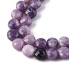 Natural Lepidolite/Purple Mica Stone Beads Strands G-C179-A38-03-4