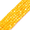 Natural Freshwater Shell Beads Strands SHEL-N003-33-A08-1