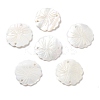 Natural Freshwater Shell Pendants X-SHEL-D082-14A-1