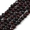 Natural Brecciated Jasper Beads Strands G-G053-C13-01-2