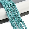 Synthetic Turquoise Beads Strands G-A257-A14-01-2