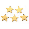 PVD Vacuum Plating 304 Stainless Steel Charms X-STAS-N092-67G-1
