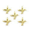 Ion Plating(IP) 201 Stainless Steel Pendants STAS-N098-099LG-2