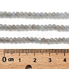 Natural Angelite Beads Strands LS-G-RM2025-16-3mm-5