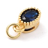 Real 18K Gold Plated Brass Inlaid Cubic Zirconia Charms ZIRC-L100-079G-02-4