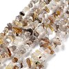 Natural Botswana Agate Beads Strands LS-G-E607-A10-1