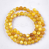 Yellow Shell Beads Strands SHEL-T012-50E-2