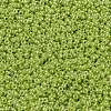 MIYUKI Round Rocailles Beads SEED-X0056-RR0439-3