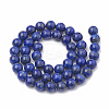 Natural Lapis Lazuli Beads Strands G-S333-10mm-013-4