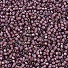 MIYUKI Delica Beads SEED-X0054-DB1792-4