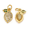 Brass Micro Pave Cubic Zirconia Charms ZIRC-L093-18G-1