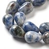Natural Blue Spot Jasper Beads Strands G-B106-A15-02-4