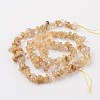 Chip Natural Gold Rutilated Quartz Bead Strands G-M349-01-2