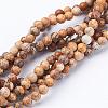 Gemstone Beads Strands GSR4mmC016-1