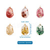 12Pcs 6 Colors Resin Pendants RESI-CD0001-08-5