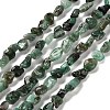 Natural Emerald Beads Strands G-P497-01E-15-1