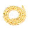 Natural Freshwater Shell Dyed Beads Strands SHEL-T020-29A-08-2