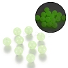 Luminous Acrylic Round Beads LS-LACR-R002-5mm-01-1
