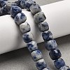 Natural Blue Spot Jasper Beads Strands G-H078-C20-01-3