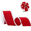 Polyester Ribbon OCOR-WH0082-384-1