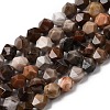 Natural Petrified Wood Beads Strands G-Z119-A21-01-3