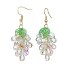 Transparent Glass Dangle Earrings EJEW-JE06863-01-3