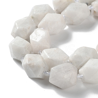 Natural Rainbow Moonstone Beads Strands G-C182-21-02-1