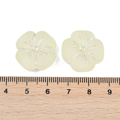 Frosted Transparent Acrylic Beads X1-OACR-P029-19B-03-1