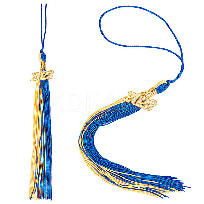 2Pcs 2 Colors Polyester 2023 Tassel Pendant Decorations HJEW-GF0001-33-1