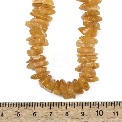 Natural Amber Chip Beaded Necklaces NJEW-L466-03C-1