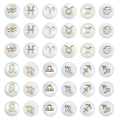 36Pcs 12 Styles Natural White Shell Beads SHEL-FH0001-27-1